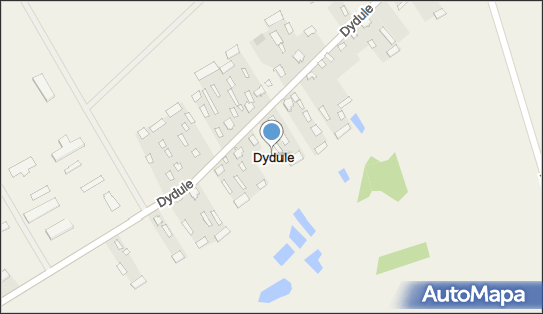 Dydule, Dydule - Inne