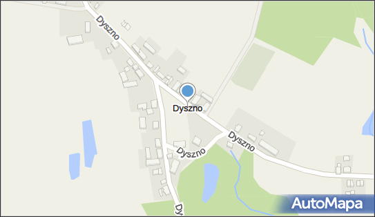 Dyszno, Dyszno - Inne