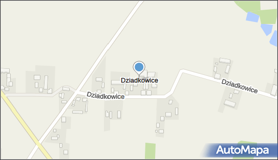 Dziadkowice (województwo łódzkie), Dziadkowice - Inne