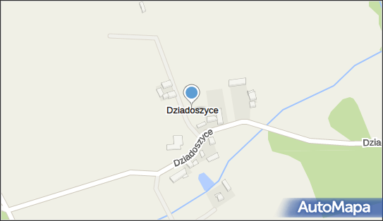 Dziadoszyce, Dziadoszyce - Inne