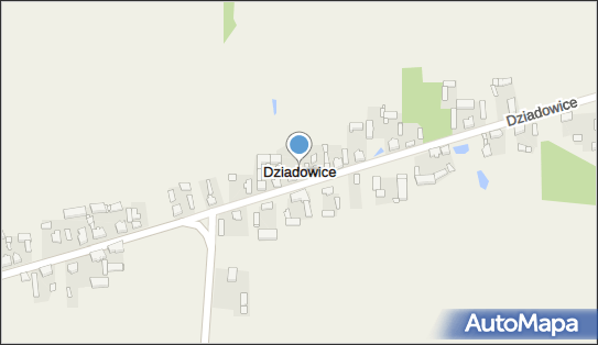 Dziadowice, Dziadowice - Inne