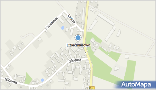 Dziećmierowo, Dziećmierowo - Inne