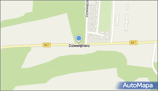 Dziewięcierz, Dziewięcierz - Inne