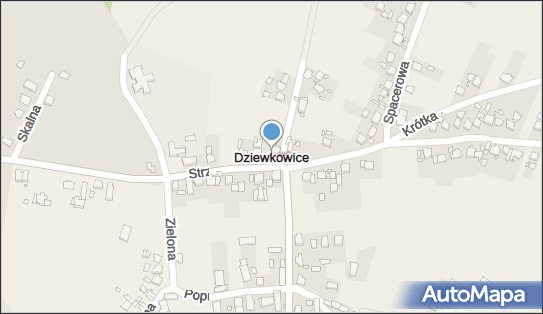 Dziewkowice, Dziewkowice - Inne