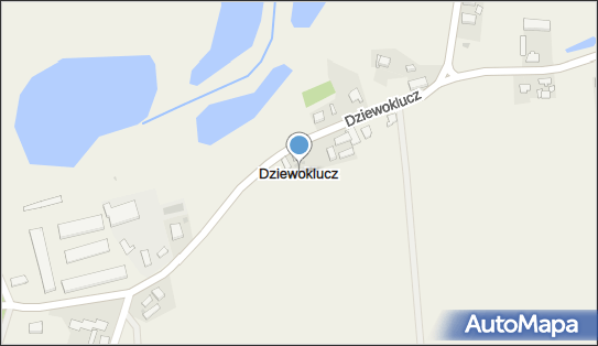 Dziewoklucz, Dziewoklucz - Inne