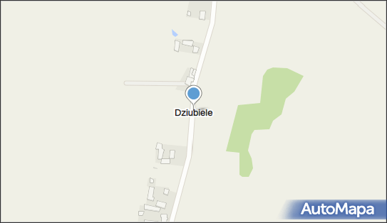 Dziubiele, Dziubiele - Inne