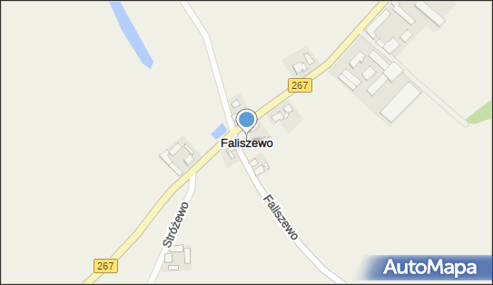 Faliszewo, Faliszewo - Inne