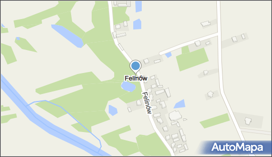 Felinów (województwo łódzkie), Felinów - Inne