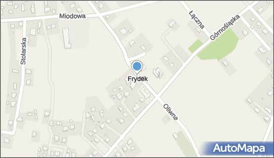 Frydek, Frydek - Inne