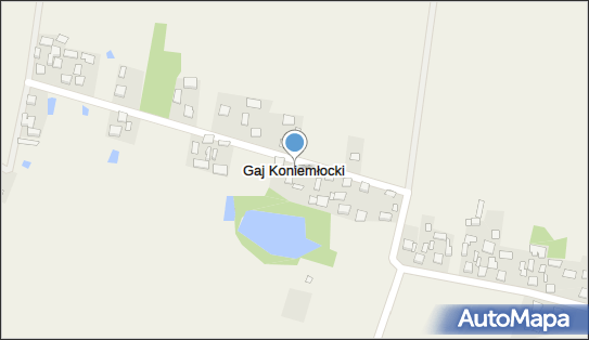 Gaj Koniemłocki, Gaj Koniemłocki - Inne