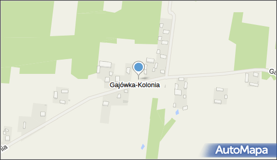 Gajówka-Wieś, Gajówka-Kolonia, Gajówka-Kolonia 99-205 - Inne