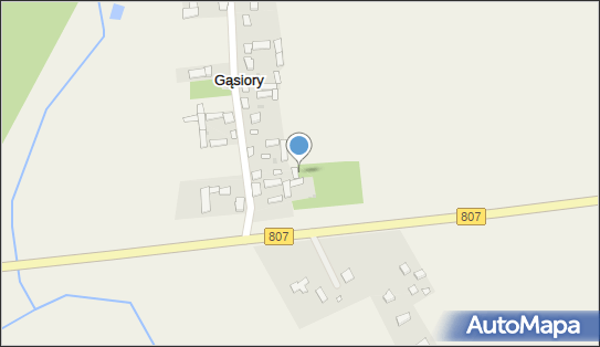 Gąsiory (województwo mazowieckie), Gąsiory, Gąsiory 08-430 - Inne