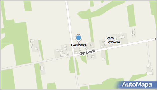 Gęsówka, Gęsówka - Inne