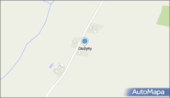 Głożyny (województwo wielkopolskie), Ruchocinek, Ruchocinek 62-230 - Inne