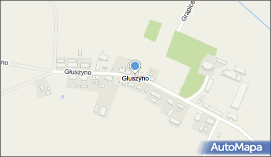 Głuszyno, Głuszyno - Inne