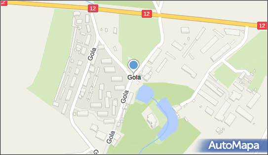 Gola (powiat gostyński), Gola - Inne
