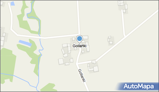 Golianki, Golianki - Inne