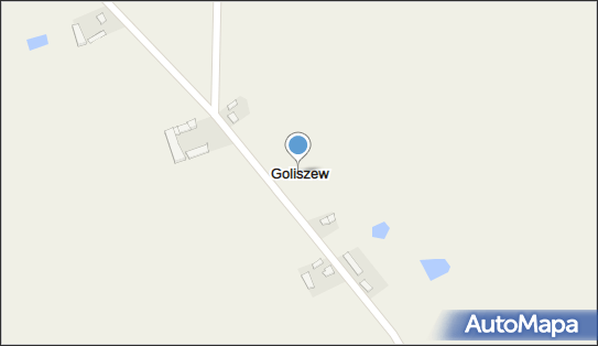 Goliszew (województwo łódzkie), Goliszew - Inne