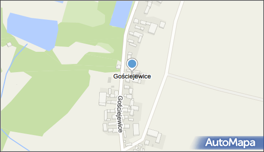 Gościejewice, Gościejewice - Inne