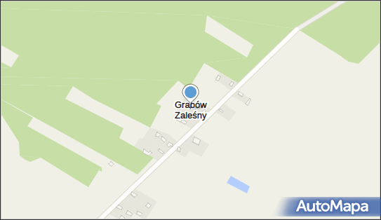 Grabów Zaleśny, Grabów Zaleśny - Inne