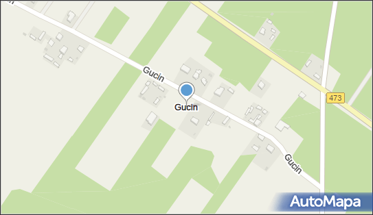 Gucin (województwo łódzkie), Gucin - Inne