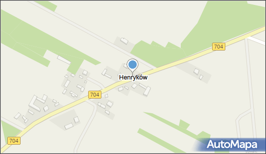 Henryków (powiat brzeziński), Henryków, Henryków 95-060 - Inne