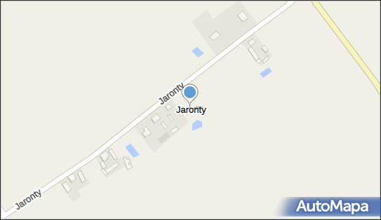 Jaronty, Jaronty - Inne