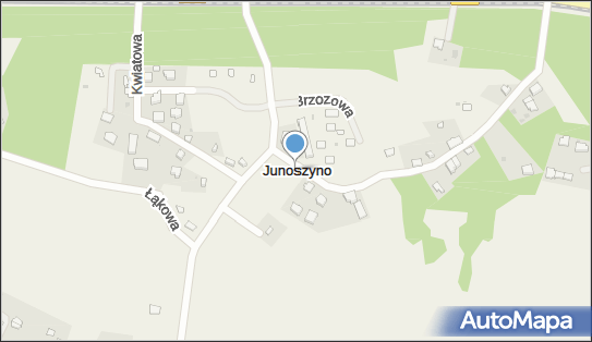 Junoszyno, Junoszyno - Inne