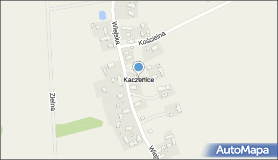 Kaczenice, Kaczenice - Inne