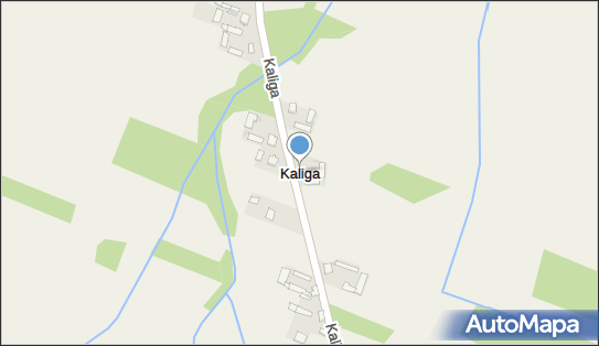Kaliga, Kaliga - Inne