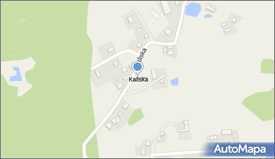 Kaliska (powiat kartuski), Kaliska - Inne