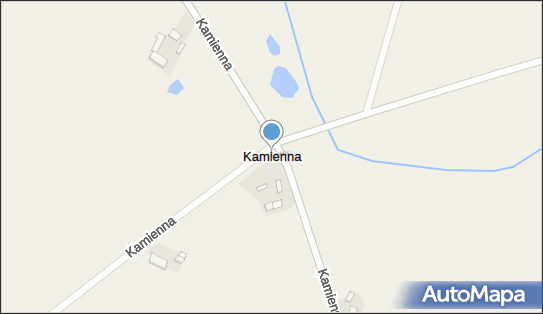 Kamienna (powiat kutnowski), Kamienna - Inne