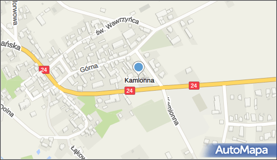 Kamionna (województwo wielkopolskie), Kamionna - Inne