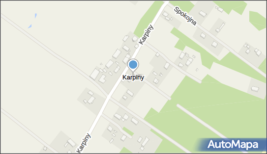 Karpiny, Karpiny - Inne