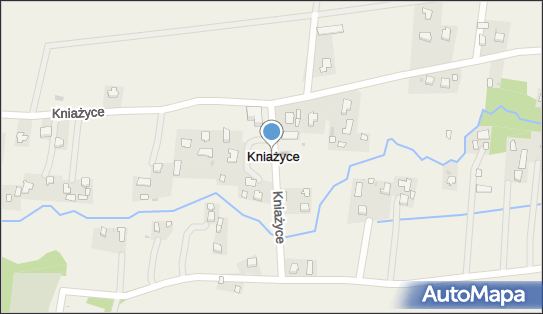 Kniażyce, Kniażyce - Inne