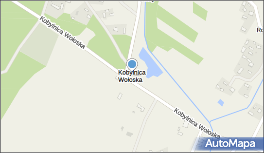 Kobylnica Wołoska, Kobylnica Wołoska - Inne