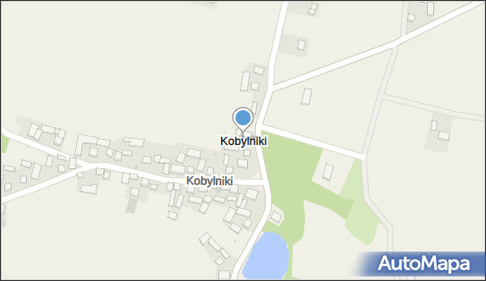 Kobylniki (powiat kazimierski), Kobylniki - Inne