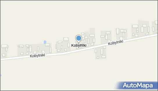 Kobylniki (powiat poddębicki), Kobylniki - Inne