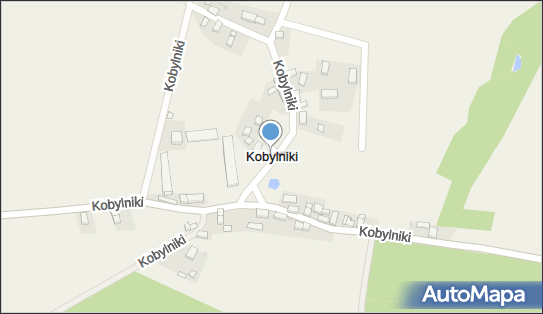 Kobylniki (powiat średzki), Kobylniki - Inne