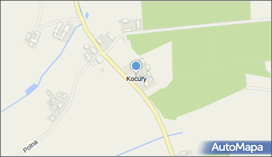 Kocury (województwo opolskie), Kocury - Inne