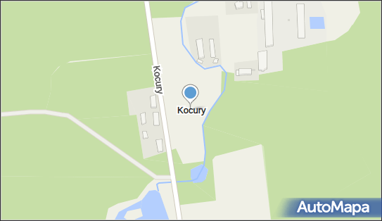 Kocury (województwo zachodniopomorskie), Kocury - Inne