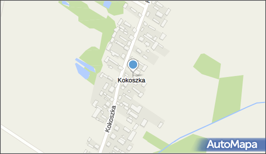 Kokoszka (województwo lubelskie), Kokoszka - Inne