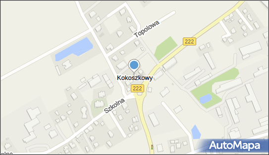 Kokoszkowy, Kokoszkowy - Inne