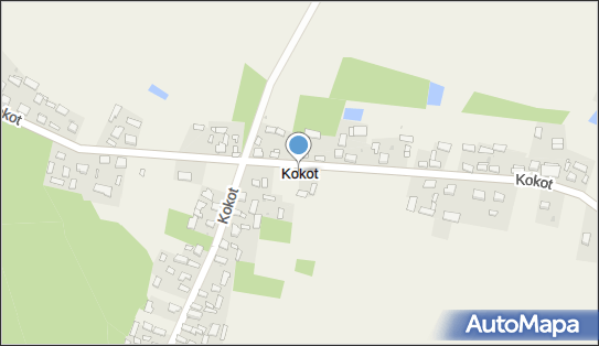 Kokot, Kokot - Inne