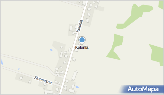 Kolonia (województwo pomorskie), Kolonia - Inne