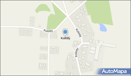 Kolosy, Kolosy - Inne