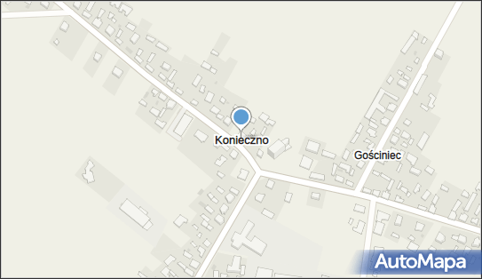 Konieczno, Konieczno - Inne