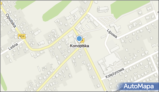 Konopiska, Konopiska - Inne