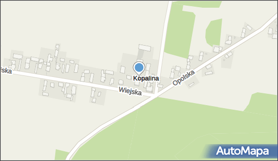 Kopalina (gmina Pokój), Wiejska 1, Kopalina 46-034 - Inne