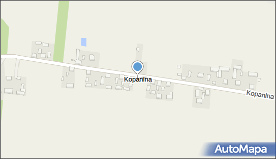 Kopanina (powiat sieradzki), Kopanina - Inne